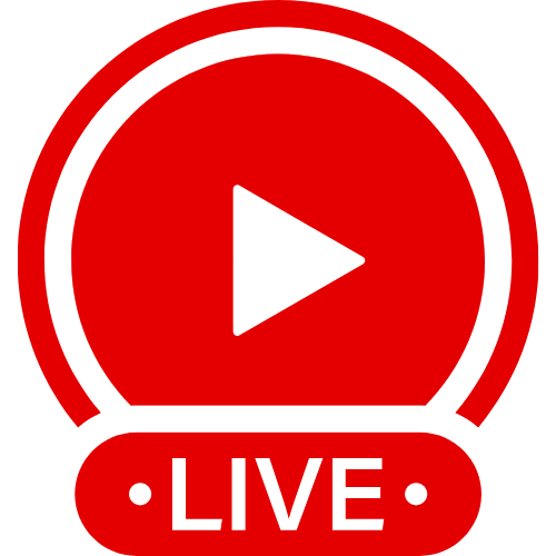 Femdom Humiliation Public | Live Webcam Shows & Interactive Adult Entertainment